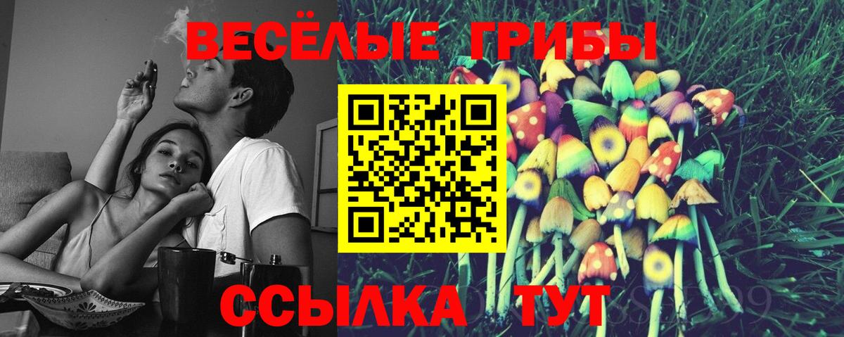 Псилоцибиновые грибы мухоморы  Вход с VPN  Щёлково 